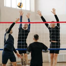Rede profissional de voleibol para interior e exterior, corda alongada, jogo de praia, demarcação fronteira, quintal, piscina - Image 2