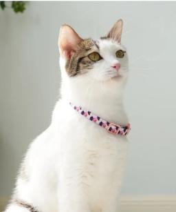 Colarinho colorido para gato e cão, 19-32cm ajustável arnês com sinos, pet fornecimentos - Image 4