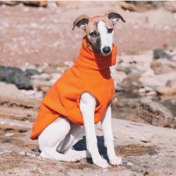 Colete macio do whippet do velo, Roupa do cão da gola alta, Galgo italiano, Inverno - Image 4
