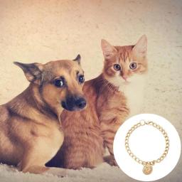 Colar de corrente de gato com sino design de moda colar de cachorro colar pet suprimentos de moda clássico jóias com hallow bell para pequeno a - Image 4