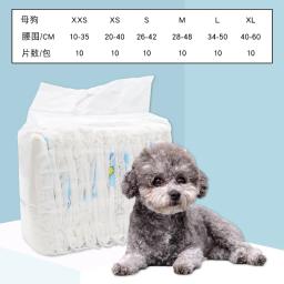 Super absorção calças fisiológicas fraldas para cães pequenos fêmea cão coelho descartável leakproof fraldas filhote de cachorro 10 pçs/set - Image 2