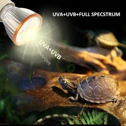 Réptil UV Lâmpada LED, Tartaruga, Lagarto, Serpente, Réptil, Serpente, UVA, UVB, Terrário Luz, 5.0, 10.0, Lâmpada - Image 4