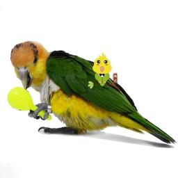 Brinquedos de treinamento interativo para papagaio, papagaio e morder, sabedoria, jogando, pássaro, som, acessórios para animais - Image 6