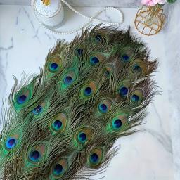 Longas penas naturais pavão adequado para vaso artesanato, decoração do casamento, festa em família, Natal, em massa, 50 pcs - Image 1