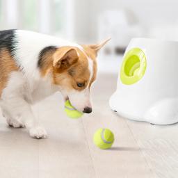 Lançador automático de bola para cachorro, dispositivo de lançamento para animais de estimação, 3/6/9m de seção, emissão com 3 bolas, treinamento para cães - Image 2