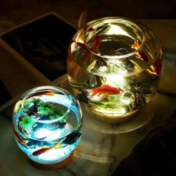 Aquário criativo pequeno tanque de peixes de vidro redondo ecológico peixes peixes peixes base iluminação combate tanque aquário acessórios 5v, - Image 3