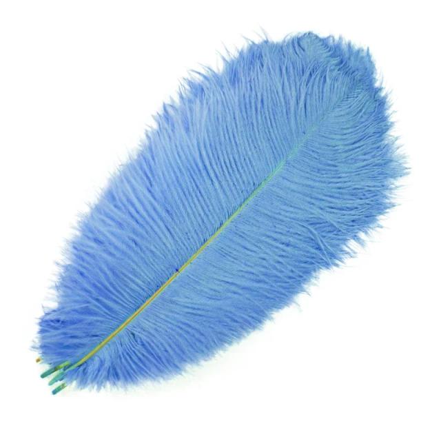 Penas Coloridas de Avestruz para Artesanato e Decoração - Conjunto de 10 Peças em Branco e Preto para Centerpieces e Jóias