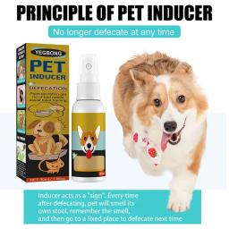 Spray Indutor para Animais de Estimação, Dog and Cat Pad, Pee Training Toilet, Puppy Pet Supplies, Adereços Indutor, 30ml - Image 2