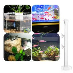 Tubo De Alimentação De Vidro De Cristal Para Tanque De Peixes, Prato De Alimentação De Camarão, Tigela De Aquário, Suprimentos De Alimentação Clara - Image 4