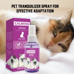 Spray Calmante Anti-Stress Feromônio para Gatos, Fadiga Emocional, 60ml - Image 6