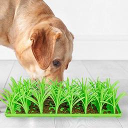 Silicone Slow Food Mat para animais de estimação Alimentador lento Cães Snuffle Pad Almofada de lamber gatos Tapete antiderrapante, Pet Shop, Acessórios para cães - Image 1
