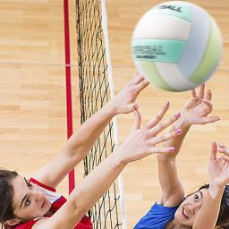 Voleibol elástico e resistente a impactos para treinamento, ampla aplicação, campeão, melhore as habilidades - Image 2