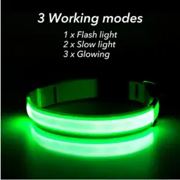 Coleira Luminosa USB Recarregável para Animais de Estimação, LED ajustável, Coleira de cão brilhante, Grande, Pequeno, Cat Night Light - Image 2
