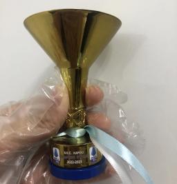 O 2022-23 Temporada S.C., 2022 A Série Um Troféu Dourado, Medalha Troféu, Troféu De Metal, Lembranças De Fã - Image 2