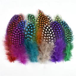 Combinações multicor, ganso Avestruz Penas Artesanato, frango, Turquia, pavão pena, acessórios de artesanato, muitos tipos - Image 3