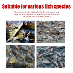 Peixe atrativos para Absorb, Spray aditivo para pesca, Acessórios Pescadores, Alta Concentração, Enhancer Atrativo, 60ml - Image 3