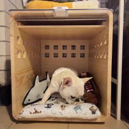 Canil acrílico para animais de estimação, moldura de madeira dobrável, móveis para cães, cama em caixa exterior e interior, moderno e transparente - Image 6