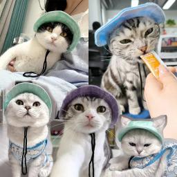 Chapéu de corante com orelha para animais, proteção solar de aba redonda, chapéu de balde, bonés de estimação ao ar livre, filhote e gato, pequeno e médio - Image 2