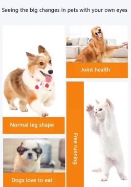 Pet Nutrition Supplement, Glucosamina Condroitina, 180 Comprimidos, Filhotes, Cães e Gatos de meia-idade e idosos - Image 6