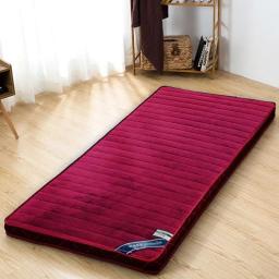 Dobrável Anti-Ácaro Tatame Colchão, Topper do Chão, Almofada de Cama, Macio, Respirável, Grosso, Único, Duplo, King Size - Image 4