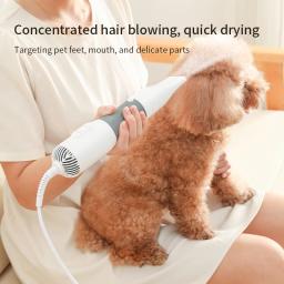 3 in1 Pet Dog Secador Silencioso Dog Secadores de cabelo e pente Escova Grooming Kitten Cat Hair Comb Puppy Fur Blower Low Noise Temprature - Image 1