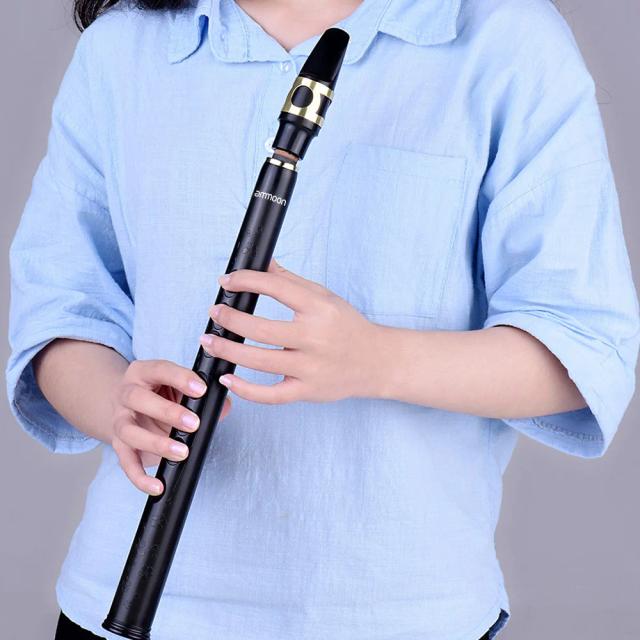 Bolso Mini para Bb Saxofone Ammoon com Alto Bocais e Bolsa de Transporte - Acessórios de Sopro em 10 Peças