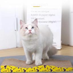 Papelão ondulado Pet Scratching Board Brinquedos de gato Almofada de unhas de moagem Móveis de proteção interativa Brinquedo Scratcher de gatos - Image 4
