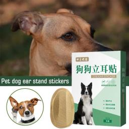 Conjunto de 2 peças para apoio orelha do cão adesivos, orelha correção suprimentos, orelha cuidados ferramentas, conveniente e eficaz - Image 3