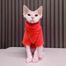 Gola alta coral quente para gatos, roupas de gato sem pêlos, colete Sphynx de inverno, roupas de gatinho, acessórios para animais - Image 2