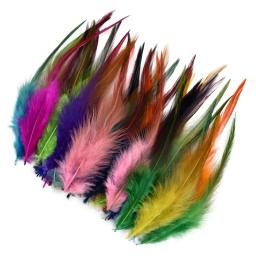 Penas De Faisão Coloridas Para Decoração Artesanato, Dream Catcher, Natural, Galo, Frango, Carnaval, Acessórios De Artesanato, 20Pcs por Lote - Image 3