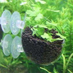 Suporte de planta de aquário suspenso ajustável, Plantador de aquário, Vaso de vidro aquático com ventosas - Image 5