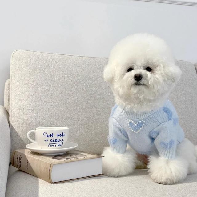 Pulôver de malha macio azul para cães – moda luxuosa e aquecida para o inverno