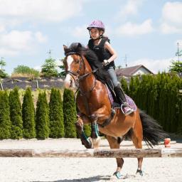 Novas crianças equitação capacete de segurança ajustável capacete equestre cabeça equipamentos de proteção pilotos para 3 a 8 anos - Image 3
