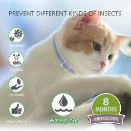 Dewel gato cachorro colar anti pulga carrapatos mosquitos ao ar livre ajustável pet coleiras 8 meses de proteção a longo prazo acessórios para animais de estimação - Image 2