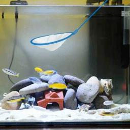1pc malha fina acessórios do aquário aço inoxidável lidar com aquário tanque de peixes pesca rede de pouso para peixes acessórios - Image 2