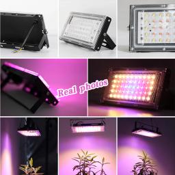 Full Spectrum LED Grow Light, Luz solar imitada, Lâmpada Phyto para Estufa, Iluminação Hidropônica para Crescimento de Plantas, Plug UE, 50W, 220V - Image 6