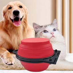 Tigela dupla dobrável 2 em 1 para animais de estimação, tigela para beber, portátil, ao ar livre, viagem, cachorro, gato, 1 pc - Image 2