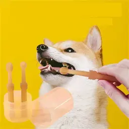 Dentes branqueamento cão e gato Silicone Soft Toothbrush, Oral Care, Puppy Toothbrush, Pet Kit, limpeza dos dentes, Pet fornecimentos - Image 2