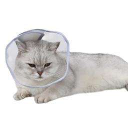 Colar transparente da forma do cone gatos da higiene prática do colar da recuperação gatos para ajudar na recuperação a - Image 4