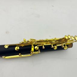 Imagens reais clarinete baquelite madeira-vento gota b 17 chaves instrumento musical profissional com caso frete grátis - Image 5