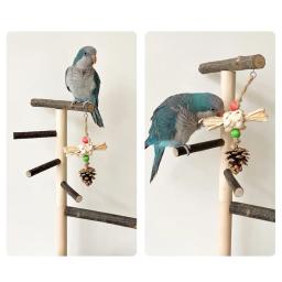 Suporte de poleiro de madeira natural para playground de pássaros, papagaio, com bandeja de aço inoxidável, escada, copo de alimentação para pássaros, acessórios de suprimentos - Image 4