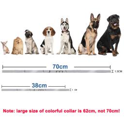 Coleira antiparasitária para animais de estimação, carrapatos antipulgas, proteção de 8 meses, coleiras retráteis para cachorro, gato, suprimentos para cães grandes, novo, 38 cm, 70cm - Image 6