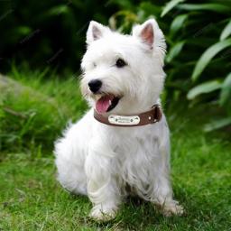 Coleira de couro PU personalizada, durável, ajustável, gravar nome, ID Tag, coleira personalizada para Pet, cão pequeno, médio, grande, cachorro - Image 5
