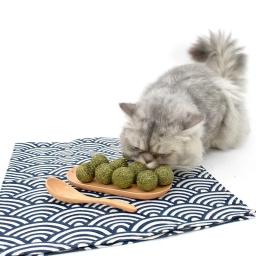 Brinquedos Catnip comestíveis saudáveis para gatos, Chasing Game Toy, bola segura, produtos limpos, dentes e estômago, 1 - Image 5