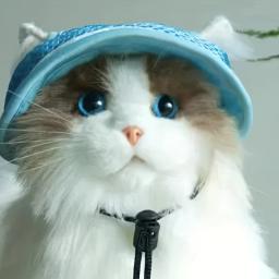 Chapéu de estimação ajustável para proteção solar, perfeito para cães e gatos, decoração do arco incluída, 3 peças - Image 4