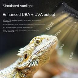 Uva + uvb réptil espectro completo luz led tartaruga lagarto cobra terrário banho de sol lâmpada de calor 10.0 20.0 lâmpada solar banho de sol lâmpada de calor - Image 3