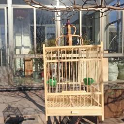 Gaiola de bambu para casa, Gaiola, Transportadora de viagens, Boutique Birdcage - Image 5