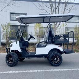 2/4/6/8 assentos caça carrinho de golfe rua legal elétrico fora da estrada carrinhos de golfe carro buggy scooter de golfe gocart - Image 2