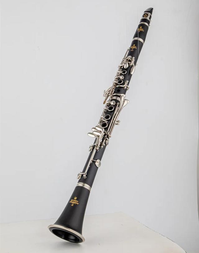 Buffet E13 B-Flat Tune: Clarinete Profissional Preto com Acessórios de Alta Qualidade