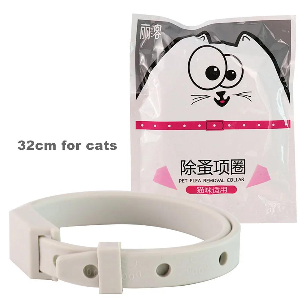 Anti Flea Tick Collar Para Cat Small Dog Antiparasitário 8 Mês Proteção Ajustável Puppy Kitten Collar Breakaway Pet Acessórios - Image 1